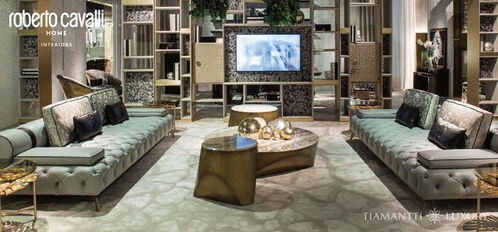 進(jìn)口意大利高檔沙發(fā)，坐擁高雅舒適新體驗(yàn)